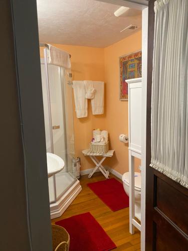 uma casa de banho com um chuveiro, um WC e um lavatório. em Ms. Maggie's South Country Inn em Daytona Beach