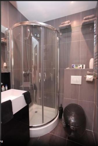 une salle de bain avec une douche, des toilettes et un lavabo dans l'établissement Superbe Studio in Cannes 450m sea & parking, à Cannes