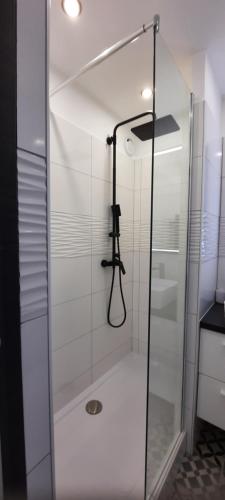 une douche avec une porte vitrée dans une salle de bain dans l'établissement Charmant Studio Sète cosy Refait à neuf Parking Plage à pied, à Sète