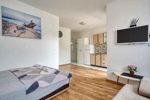 TV a/nebo společenská místnost v ubytování Apartmani Čukić Rafailovići