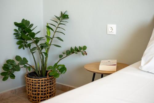 a bedroom with a plant in a basket next to a bed at Serenity Hideaway in Palaiochóra