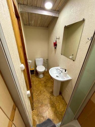 a bathroom with a toilet and a sink and a mirror at Olle Holiday house in Ventspils