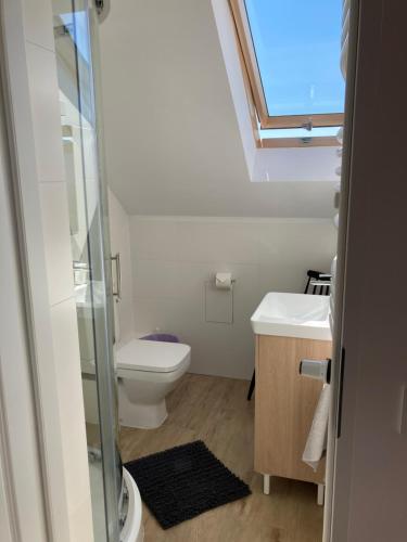 a bathroom with a toilet and a sink with a skylight at Przy Poznańskiej Bramie in Inowrocław