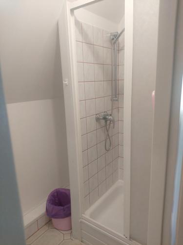 łazienka z prysznicem i toaletą w obiekcie Pensjonacik Albatros w mieście Mikołajki