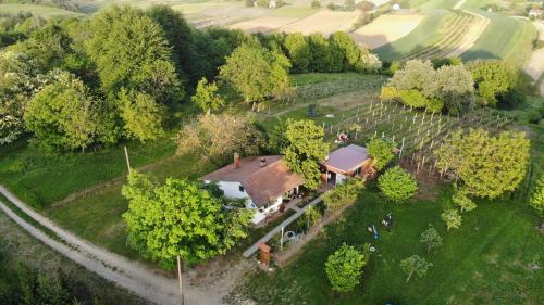 une vue sur une maison dans un champ arboré dans l'établissement Apartment Amigo, à Sirova Katalena