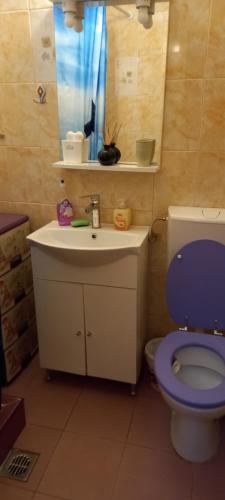 een badkamer met een blauw toilet en een wastafel bij Strada Banu Mihalcea Nr. 150 in Constanţa