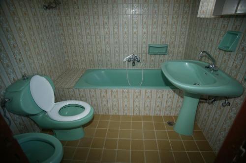 a bathroom with a green toilet and a sink at Eugenia villa in Lindos