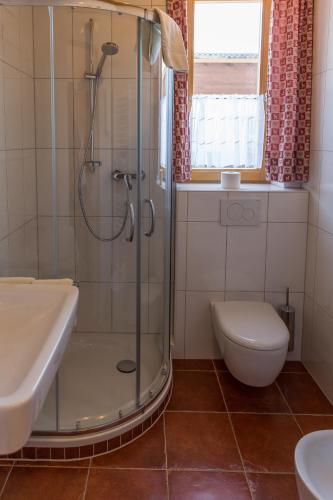 a bathroom with a shower and a toilet and a sink at Hotel Bergland in Sillian