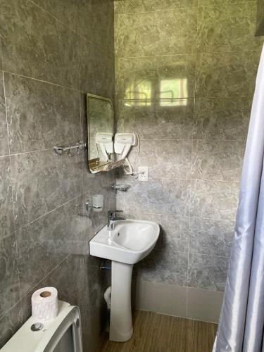 a bathroom with a sink and a mirror at Dato Khetaguri Apartment in Kazbegi