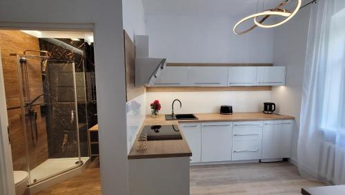 a small kitchen with white cabinets and a shower at Good Day Apartment 2 centrum Katowice in Katowice