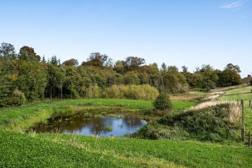 a pond in the middle of a field at Foxglove Shepherd's Hut in Berwick-Upon-Tweed