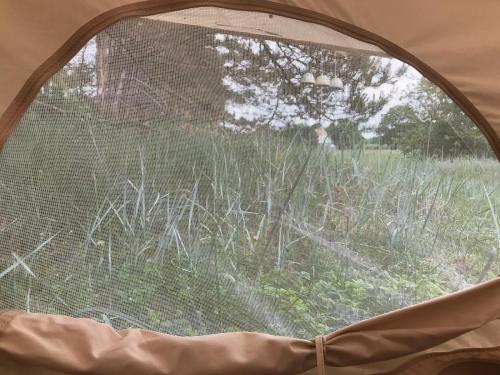 a view of a window in a tent at KEMPINGS Kareļi in Liepāja