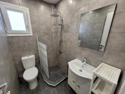 een badkamer met een douche, een toilet en een wastafel bij LA CASA DE PROFESOR 2 in Kalabaka
