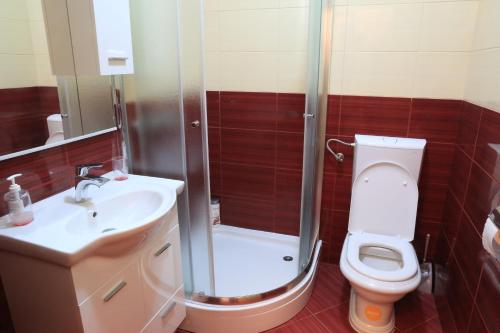 a bathroom with a shower and a toilet and a sink at Apartments Leo in Trebinje