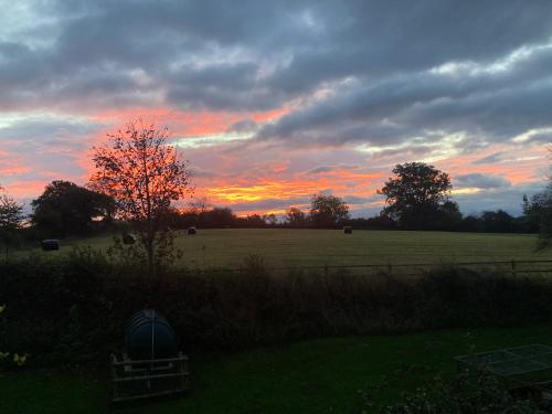a sunset in a field with cows in a field at The Shepherd's Hut with cozy logburner in Wrexham