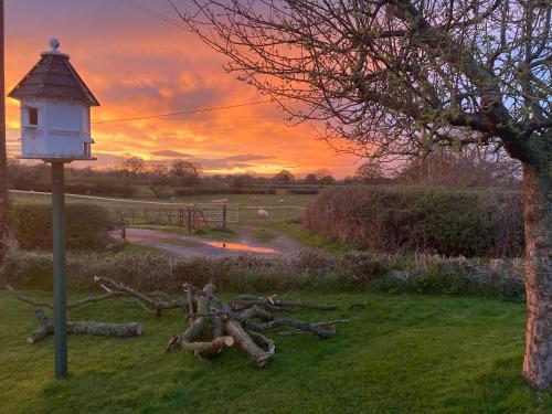 a bird feeder on a pole in the grass at The Shepherd's Hut with cozy logburner in Wrexham