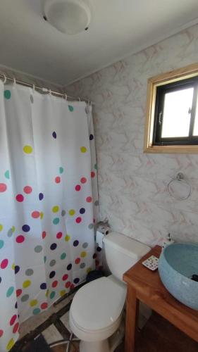 a bathroom with a toilet and a shower curtain at CASAS Y CABAÑAS CUMBRES DEL SOL in Castro