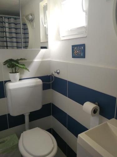 a bathroom with a toilet and a plant on the wall at Kis Vitorlás in Balatonmáriafürdő