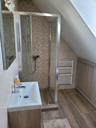 a bathroom with a sink and a shower at Borostyán Ház in Felsőörs