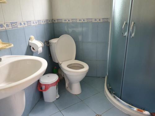 uma casa de banho com um WC, um lavatório e um chuveiro em Gästehaus in Preselentsi 30 Min zum Meer - TV in allen Sprachen 