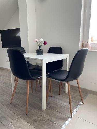 Fotografia z galérie ubytovania APARTMANI AUTOKLUBA KARLOVAC v destinácii Karlovac