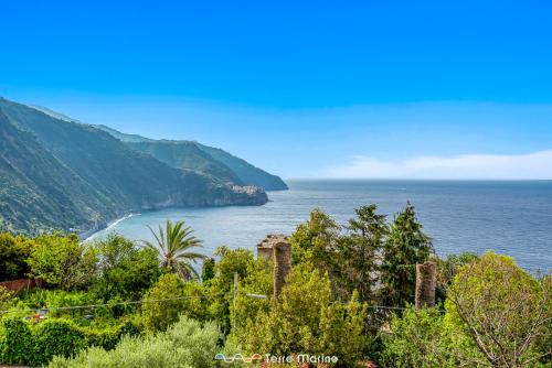 a view of the ocean from a hill with trees at Pensieri Marini, TerreMarine in Corniglia