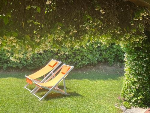 una sedia seduta sull'erba sotto un albero di Garda Golf Country Chic Home a Soiano del Lago
