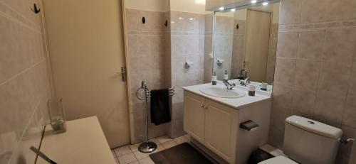 une salle de bain avec toilettes, lavabo et douche dans l'établissement Studio Le Grand Bleu Fshh, à Nice