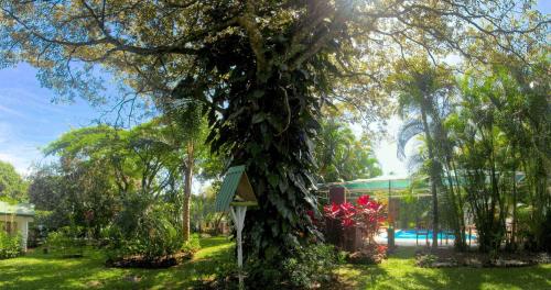 a tree covered in green ivy with a bird house at Hotel La Rosa de America in Alajuela City