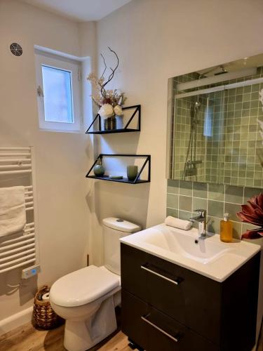 une salle de bain avec toilettes, lavabo et miroir dans l'établissement Le Duplex d'Au Sans Pareil -, à Honfleur