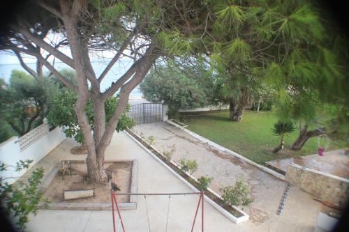 an overhead view of a park with a tree at Cala Llanetes in Vinaròs