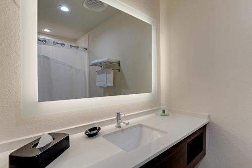 Holiday Inn Mobile Airport, an IHG Hotel في موبايل: حمام مع حوض ومرآة كبيرة