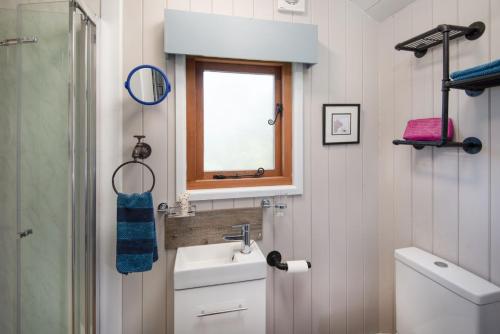 baño con lavabo, ventana y aseo en Teasel Shepherd's Hut, en Berwick-Upon-Tweed