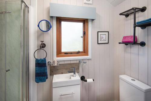 a bathroom with a sink and a window and a toilet at Teasel Shepherd's Hut in Berwick-Upon-Tweed
