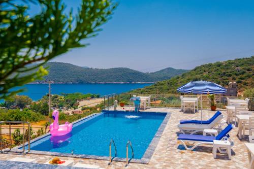 a swimming pool with a pink flamingo in the water at Kaş Sun Glare Hotel in Kas