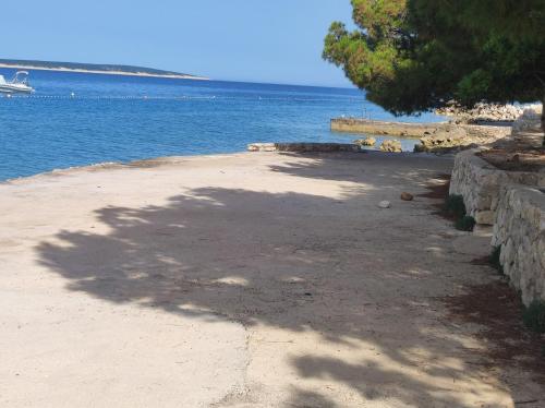 a large shadow of a tree on the beach at Dolphin view with a pool by the beach in Mandre