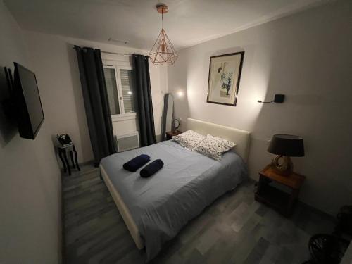 een slaapkamer met een bed met 2 kussens erop bij Mas avec piscine et jacuzzi sur Argeles sur Mer in Argelès-sur-Mer