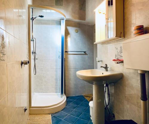 een badkamer met een douche en een wastafel bij Villa Nonno Alfonso in Marina di Camerota
