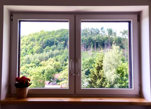 a window with a view of a forest at Apartamenty Turystyczna 25 in Kudowa-Zdrój