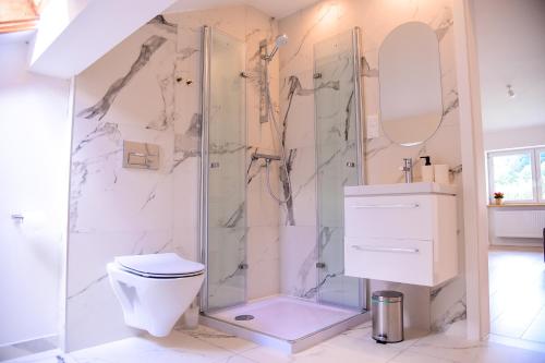 a bathroom with a shower with a toilet and a sink at Apartamenty Turystyczna 25 in Kudowa-Zdrój
