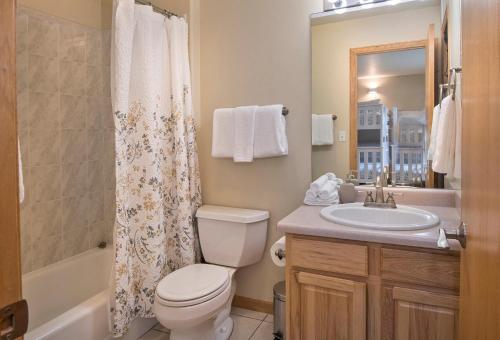 a bathroom with a toilet and a sink and a mirror at Greenbrier Townhouse 36 in Avon