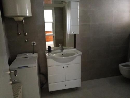 a bathroom with a sink and a toilet at NATALIJA - holiday house with garage in Sveti Juraj