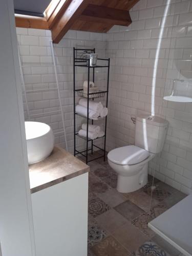 łazienka z toaletą i umywalką w obiekcie Albergue de peregrinos Santa Marina w mieście Molinaseca