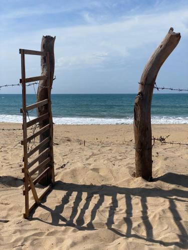 a wooden ladder and a tree stump on the beach at Beach Escape in Arugam Bay