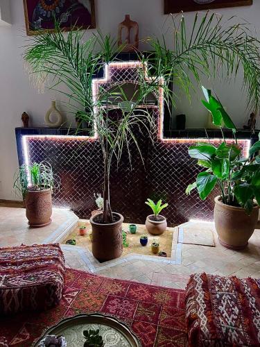 Photo de la galerie de l'établissement Riad Dar Chadia, à Marrakech