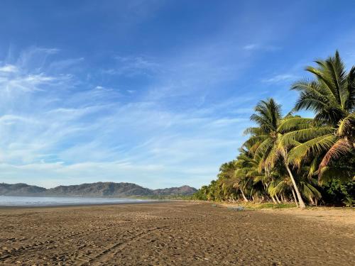 a beach with palm trees and the ocean at Villa Serenidad in Paquera