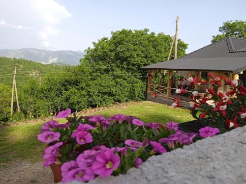 a garden with purple flowers and a gazebo at Vujanac vikend kuća in Raška