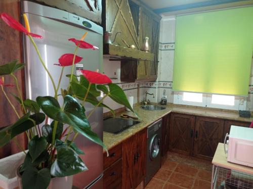 a kitchen with a plant in the middle of it at Balcón de El Bosque in El Bosque