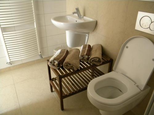 a bathroom with a toilet and a sink at B&B ´t Hof van Kessel in Maren-Kessel