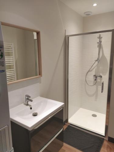 een badkamer met een wastafel en een douche bij Forges 2 in Saujon